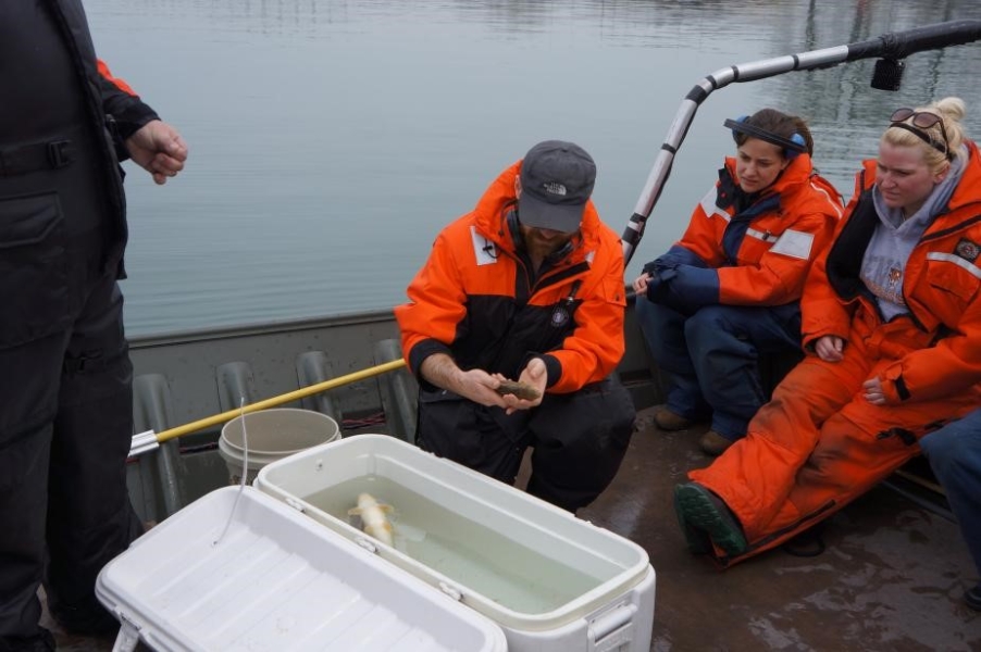 Students sit at the front of a boat near the railings, while the student at left crouches over a cooler with water and fish in it, holding a small brown fish.