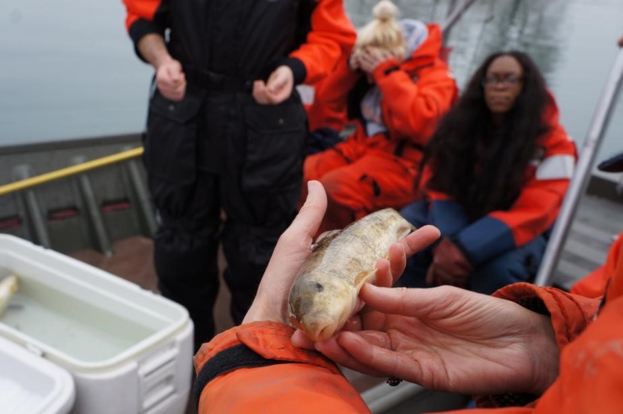 Someone examining a brown and white fish. In the background, people sit on a boat near a cooler with water and fish.