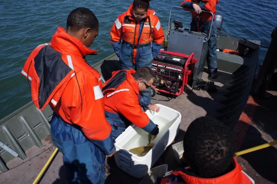 A person on a boat reaches into a cooler with water and fish in it, while other people look on.