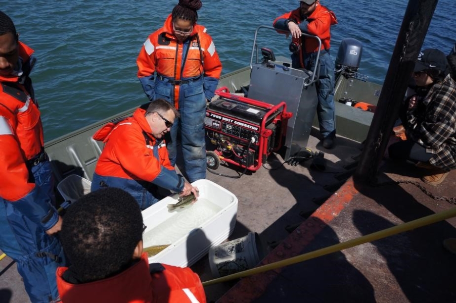 A person on a docked boat holds a fish in a cooler with water while others look on.