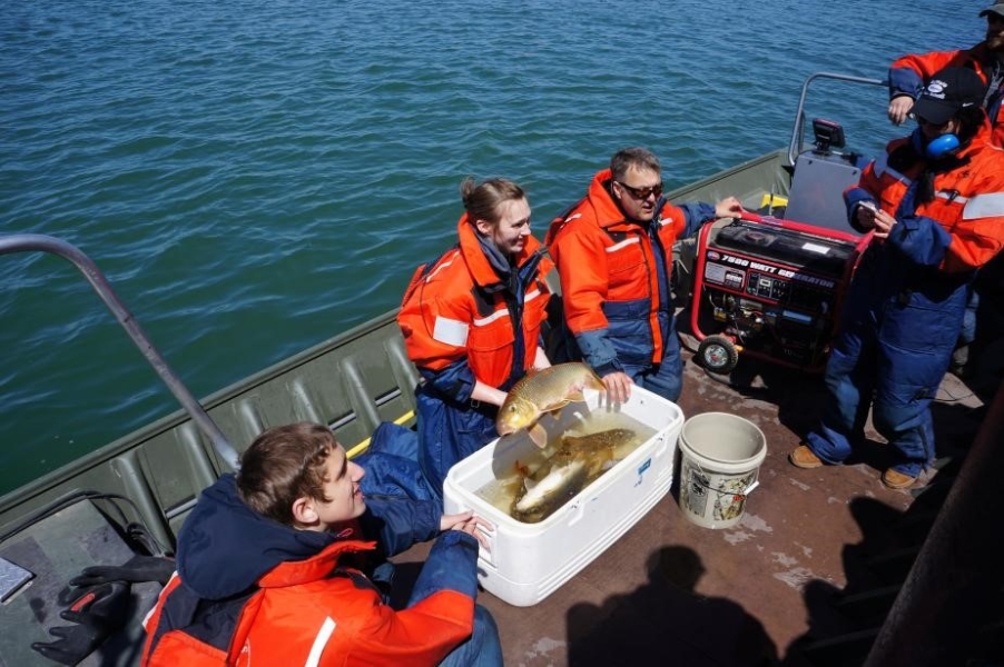 A person on a boat holds a large fish above a cooler with water and other large fish while others look on.