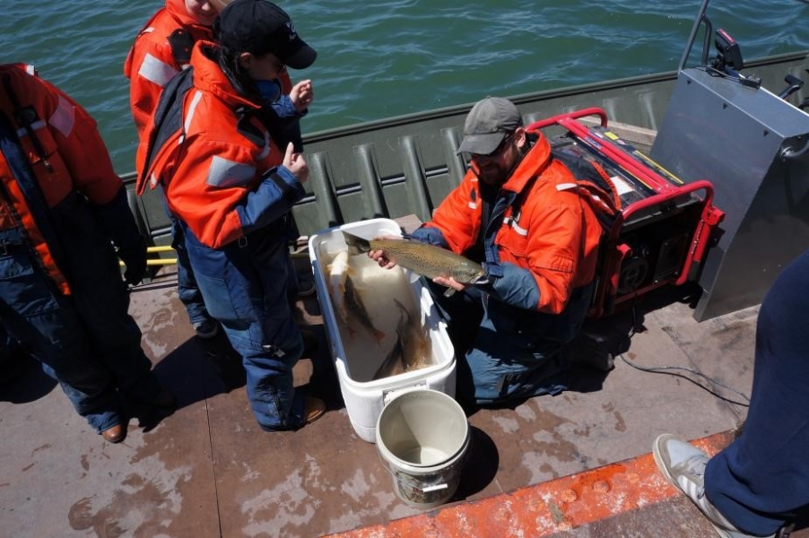 A person on a boat holds a trout above a cooler with water while others look on.