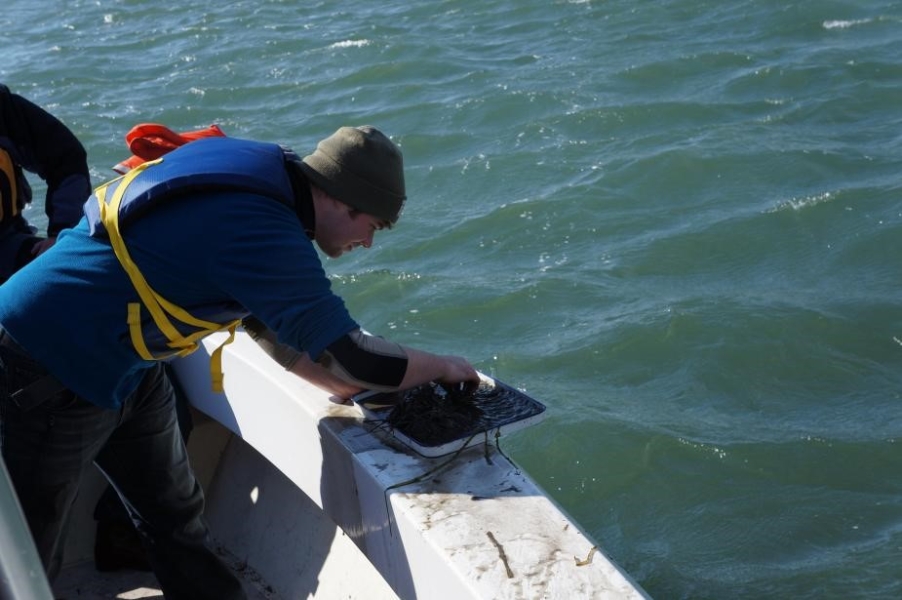 A person holds a tray of mud on the edge of a boat and touches the mud