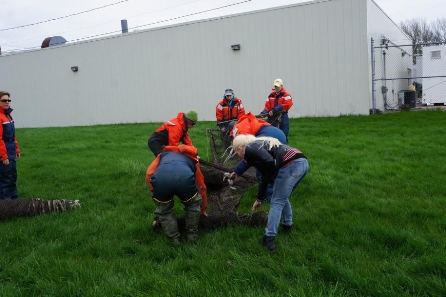 Students in flotation suits unfold a box-shaped trap net on land. Another person stands off to the left next to a rolled up net.