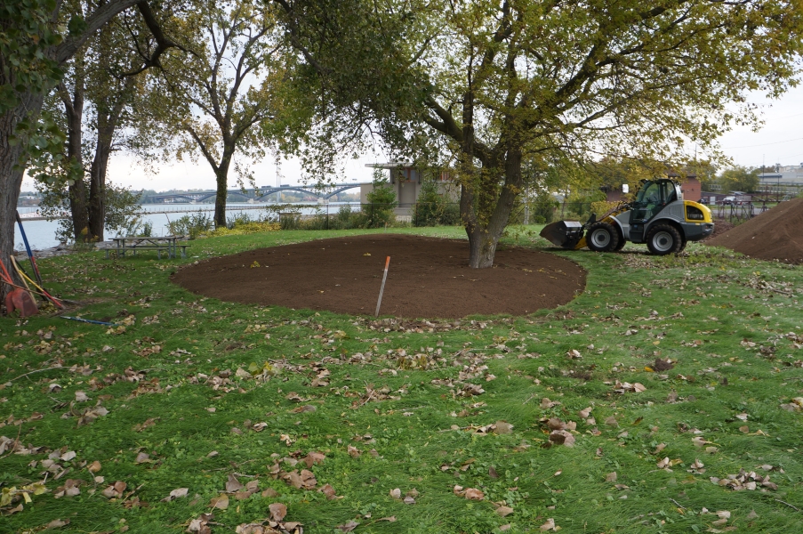 A large patch of top soil surrounds a tree. There is a front loader in the background.