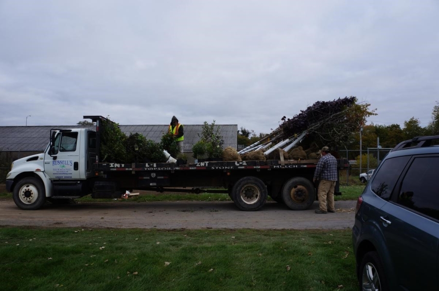 A flat bed truck with a variety of plants and trees on it, as well as two workers.