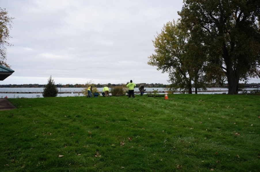 Landscapers arrange potted plants in the middle of a lawn near the waterfront.