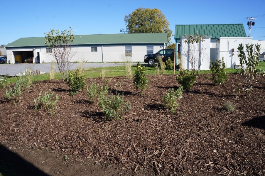 A plant bed with plants and shrubs near a one-story building with some outbuildings.