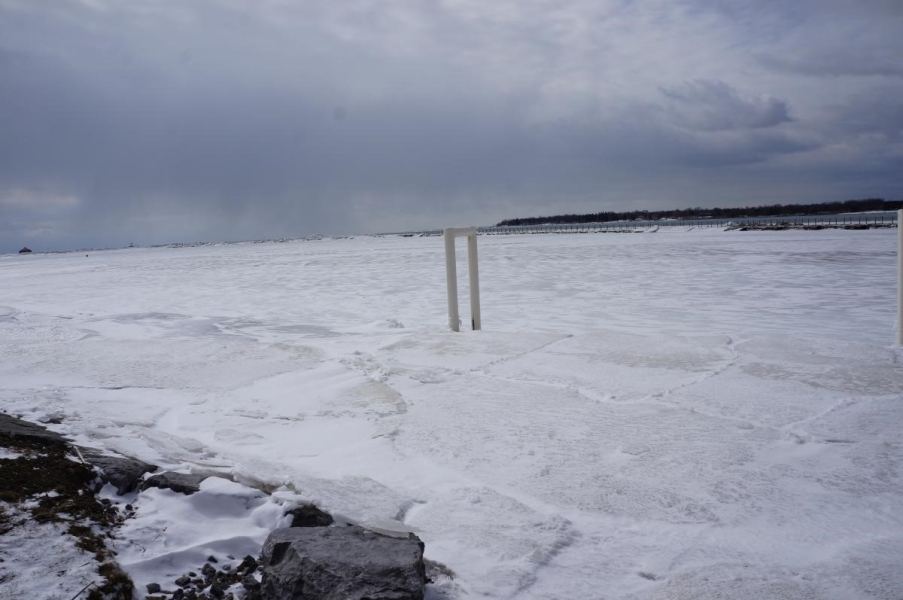 Ice along the shoreline with a metal pipe sticking up through it.