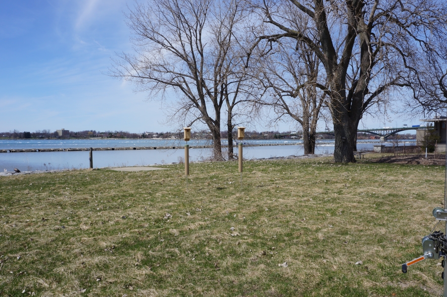 Two bird houses on stakes in a field by the waterfront.