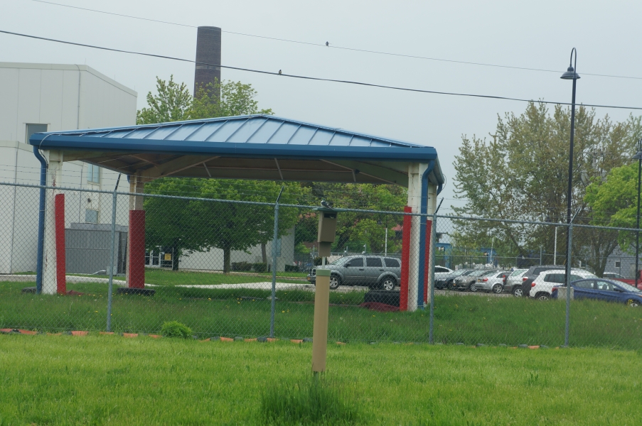 A bird house on a stake with a bird on top of it and one inside. The bird house is in a field by a fence with a pavilion and some buildings on the other side.