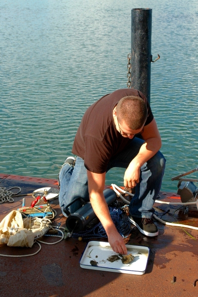 Student kneels down on the dock to examine something in a pan