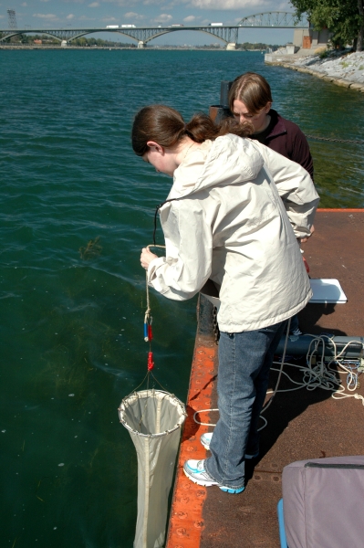 A student lowers a conical fine-mesh net into the water from the side of a dock