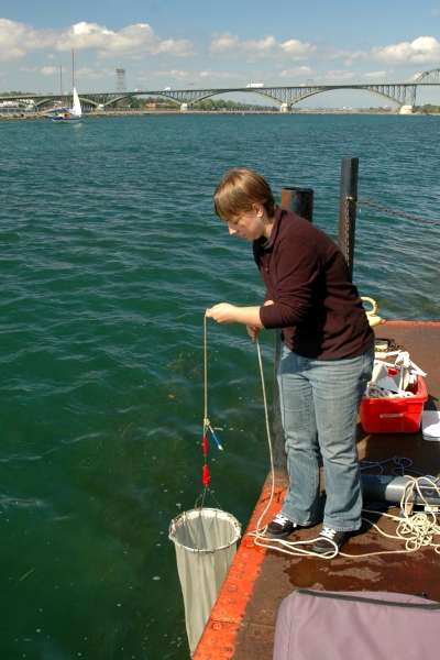 A person lowers a conical fine-mesh net into the water from the side of a dock