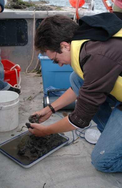 a student on a boat kneels in front of a pan of mud and grabs some of the mud