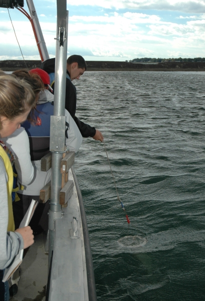 a student at the edge of the boat pulls up sampling equipment while other students watch. The sampling equipment is a net, just below the surface of the water.