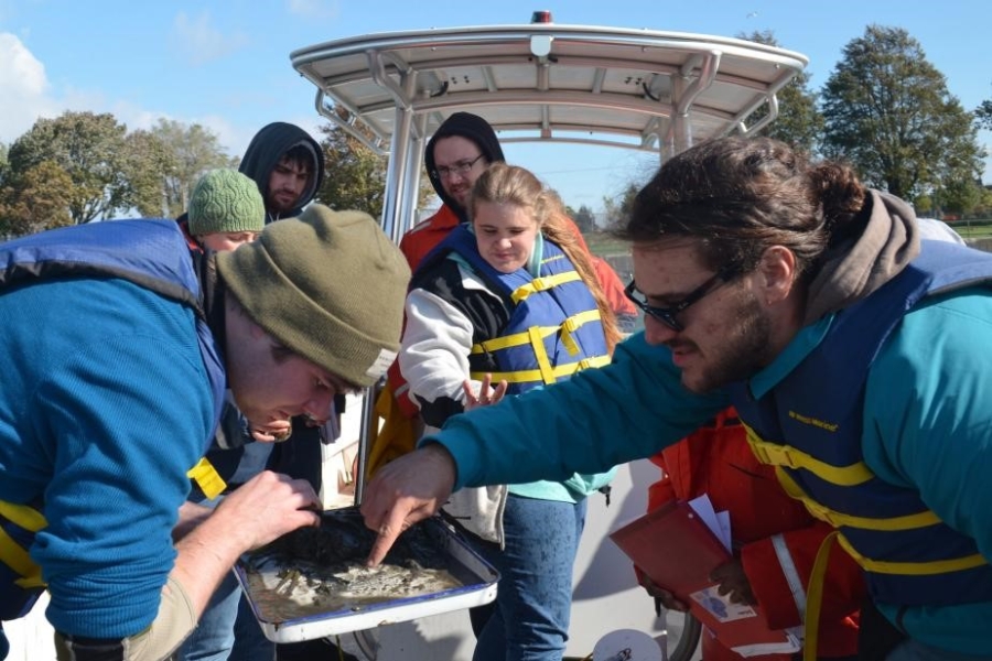 A person on a boat holds a pan with some mud and weeds on it. That person and another person are sorting through the mud, while several people look on.