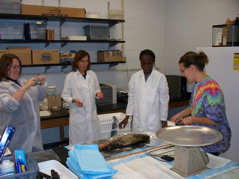 Four people in lab coats stand near a table with a fish on it. One person is taking a picture.