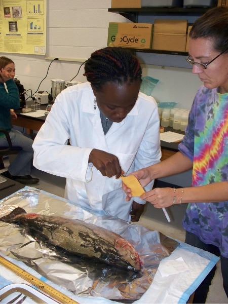 One person holds out a small envelope for a person in a lab coat to put something in. There is a fish on a table in front of them. A person sits at a counter behind them.