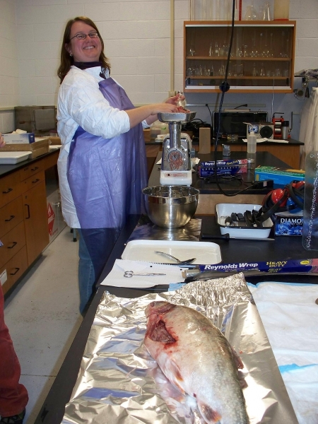 A person stands at a meat grinder wearing a lab coat and gloves. There is a large fish on the table next to them.