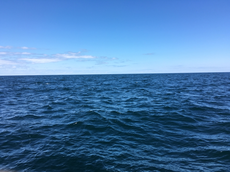 A mostly cloudless sky and vivid water with some waves in a large lake with no land on the horizon