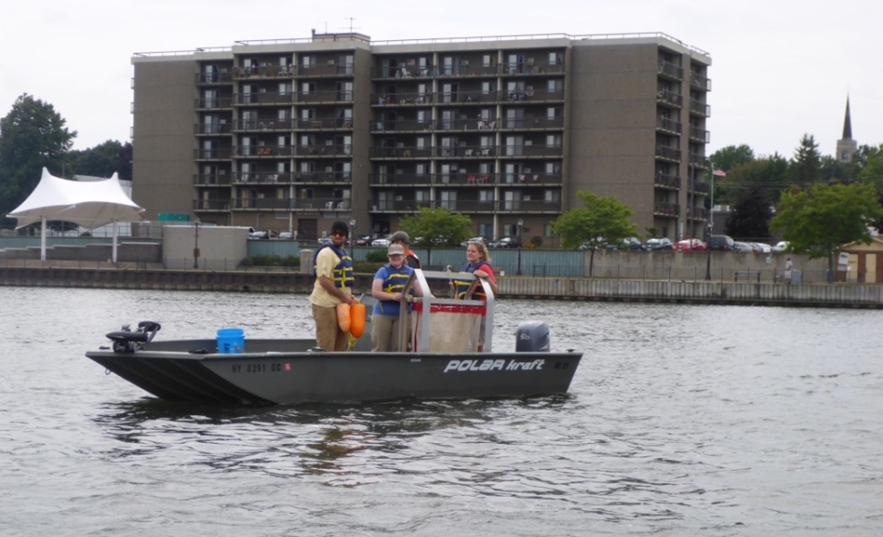 Four people stand on a boat in a harbor. They hold a large rectangular net on a metal frame.