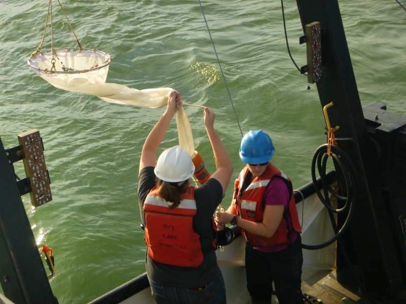 Two people in hard hats and life jackets pull a long conical net over the side of a boat. The water is very green.