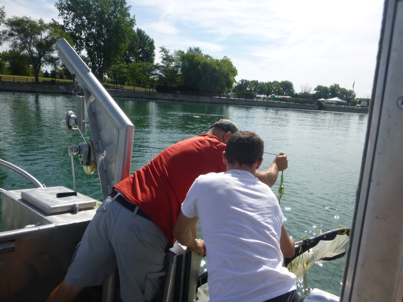 Two people pull a net in over the side of a boat.