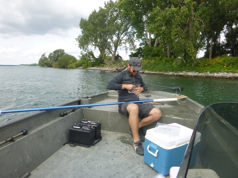 A person sitting in the front of a boat putting something in a plastic bag. There is a long pole with spikes on one end balanced in their lap.