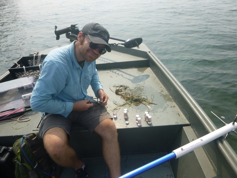 A person sitting on the front of a boat. There are vials arranged next to them and a pile of underwater grasses.