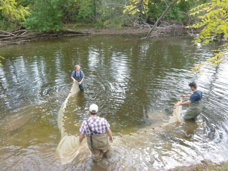 Three people wade in a creek and maneuver a long net between them.