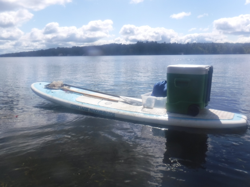 A paddleboard on the water with a cooler, nets on poles, and some boxes of supplies.