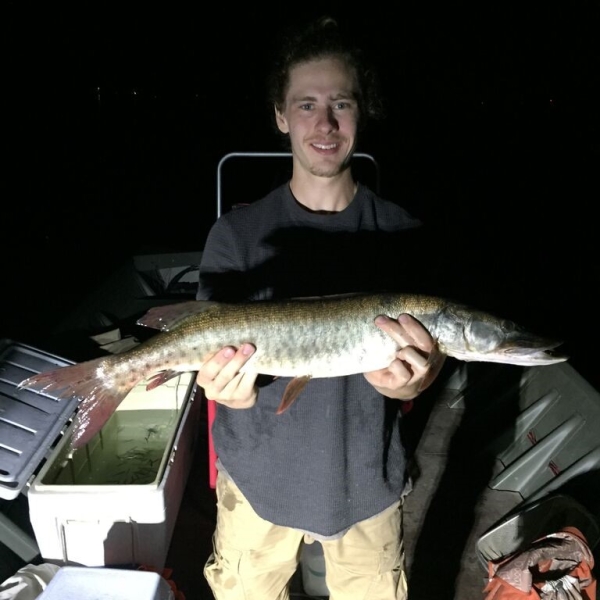 A nighttime picture of a person holding a large long fish