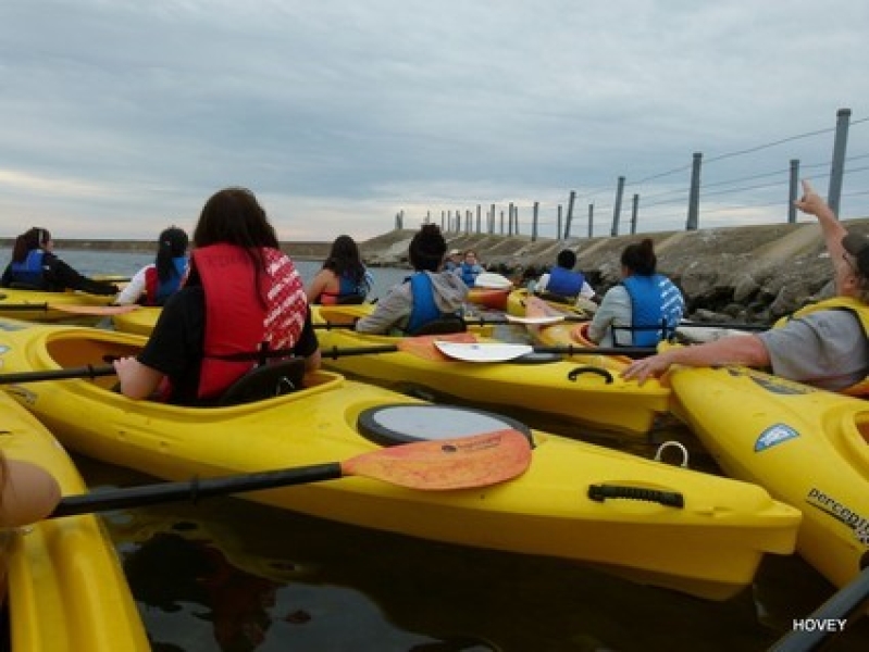 Several people in kayaks clustered near a break wall. One points above their head.