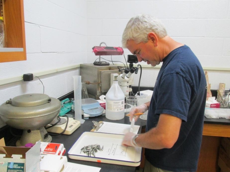 A person with short white hair standing at a counter in a lab. There are some small silver fish on a tray in front of him.