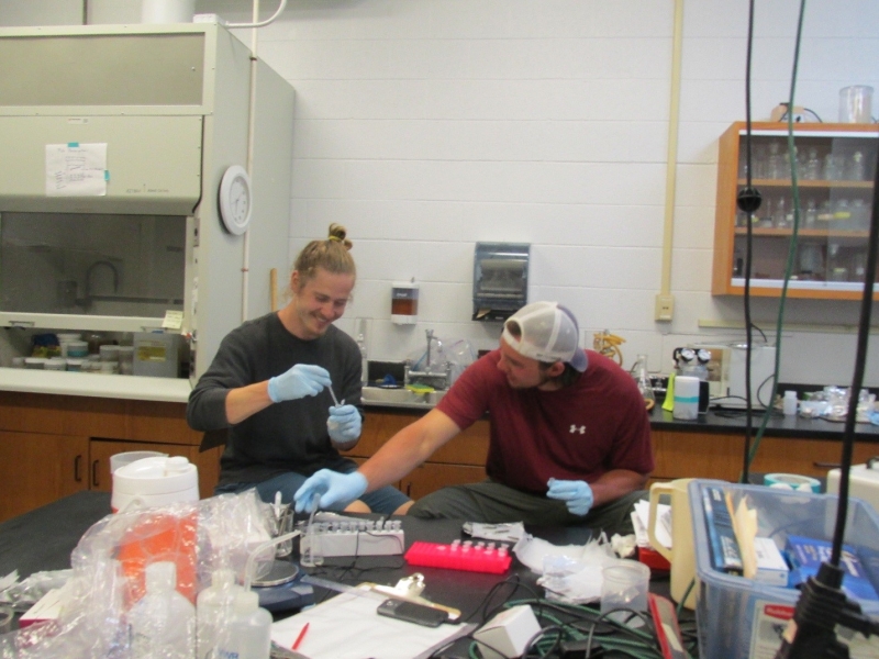 Two people sitting at a table in a lab filling small capsule tubes with samples for genetic testing.