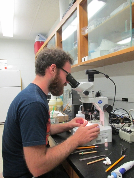 A light-skinned person with a beard sitting at a microscope in a lab.