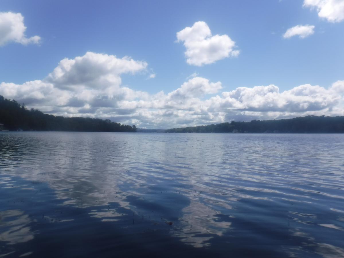 A lake on a relatively calm day, with fluffy clouds and a bright blue sky reflected in the rippling water.