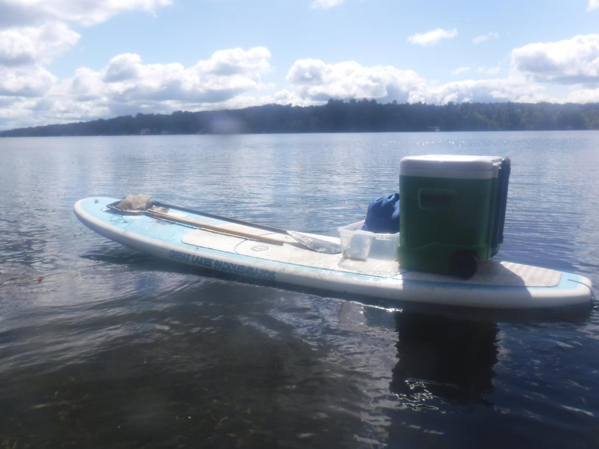 A paddleboard floating in a lake. There is a cooler, a small plastic bin, a paddle, and a net on a pole on the paddleboard.