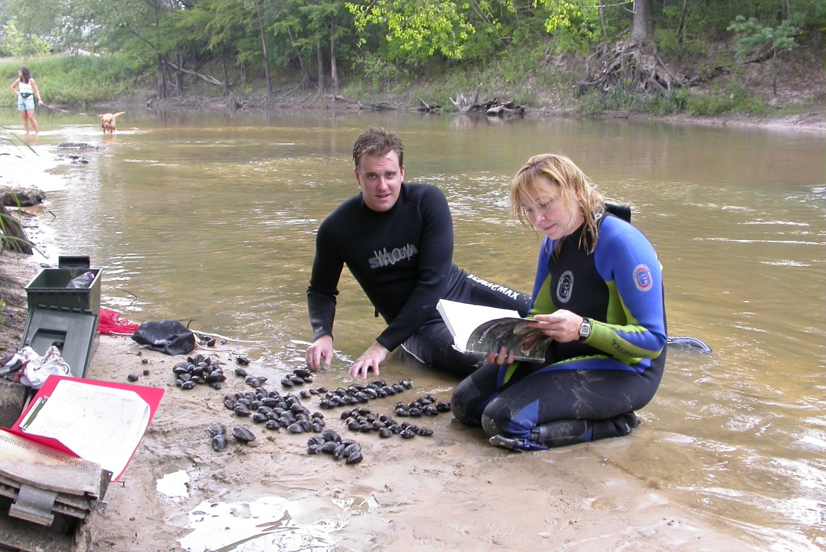 Two people in wet suits sit at the edge of the water with many large mussels. One is looking at a book.