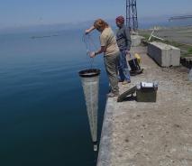 Two people stand at the edge of a wall near the water. One lowers a very long conical net into the water.