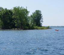 Trees on land next to some blue water. A person in a kayak is nearby.