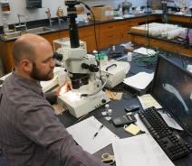 a person sits at a microscope and looks at an image of a fish on the screen next to it