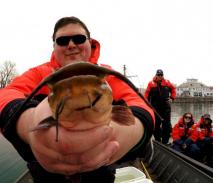 Student holds up a brown bullhead to the camera. There are students in a second boat in the background.