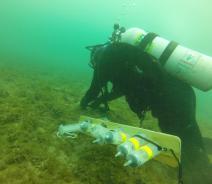 A diver works on the bottom of a lakebed covered in algae. There are several large syringes strapped together on a board next to them.