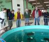 A group of people stand around a large round aquarium in the floor, leaning on the railing. The wall behind them has mounted fish.