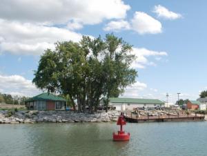 a large tree and some buildings with a dock and boat ramp at the edge of a body of water. A red navigation buoy is anchored near the dock