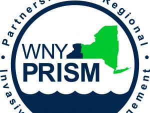 WNY PRISM logo