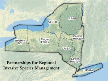 map of New York State showing counties overlaid with the outlines of each PRISM